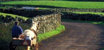 Irlande