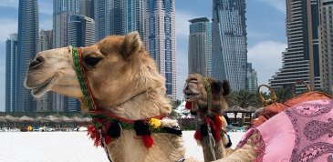 Dubaï