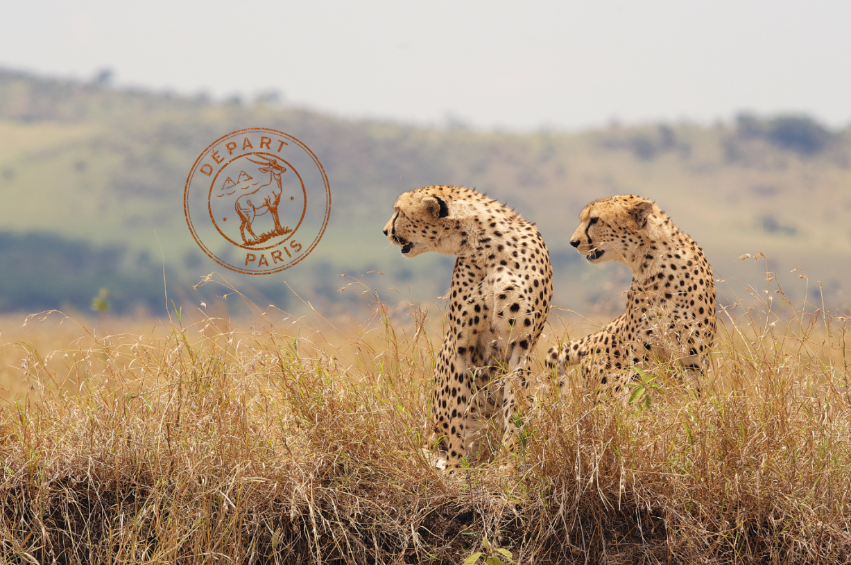 Voyage AFRIQUE DU SUD - CIRCUIT : Boucle Nord 