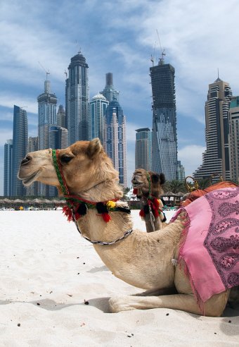 Voyage Dubaï - L'oasis en plein désert