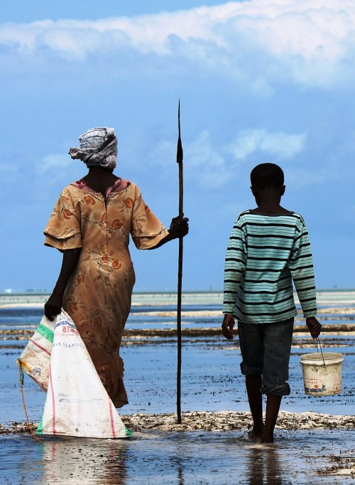 Voyage Zanzibar - Un confetti dans l'Océan