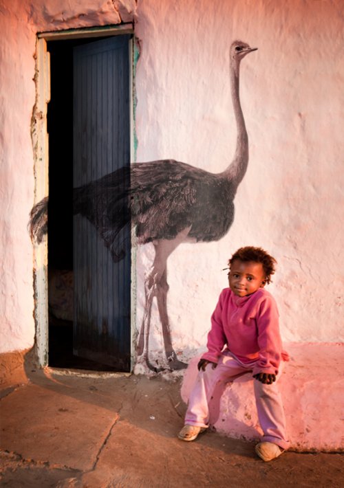 Voyage Afrique du Sud - De pied en Caps