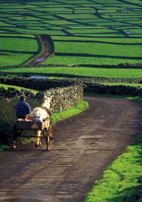 Voyage Irlande - Votre trèfle à 4 feuilles