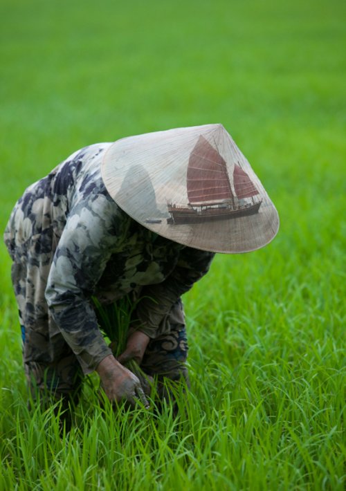Voyage Vietnam - Le top 4 des « H »