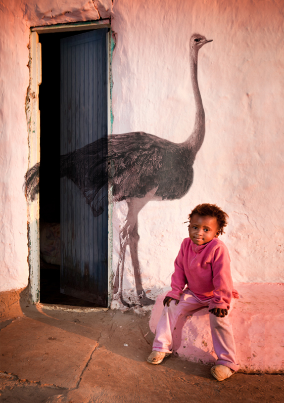 Voyage AFRIQUE DU SUD - CIRCUIT : Boucle Nord 